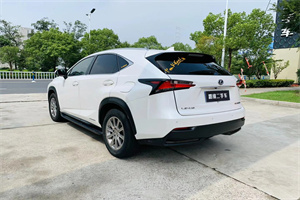 温州瑞安上门回收二手车-白羽咨询公司简介
