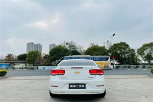 塔城裕民上门回收二手车-白羽咨询公司简介